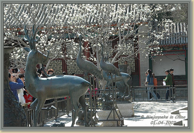 DSC_5195.JPG - Het mooiste park van Beijing, het Beihaipark.